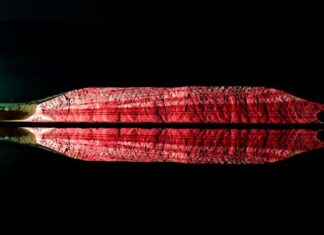 EXODOS – Εμπνευσμένη από το Μεσολόγγι η έκθεση της Νάντιας Σκορδοπούλου στο Crissier της Ελβετίας