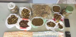 Ναύπακτος: Τρεις συλλήψεις για διακίνηση ναρκωτικών