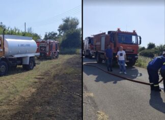 Άμεση επέμβαση για την κατάσβεση πυρκαγιάς στον Άγιο Κωνσταντίνο