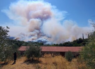 Γλύτωσε από την πύρινη λαίλαπα η Σταμνά
