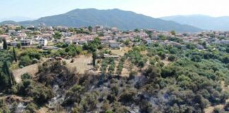 Δήμος Μεσολογγίου: Ενημέρωση για αποζημιώσεις καλλιεργειών που επλήγησαν από την πυρκαγιά
