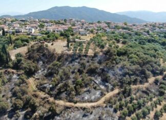 Σταμνά: Επί πέντε χρόνια ζητούσαν αντιπυρικές ζώνες, αλλά φωνή βοώντος…