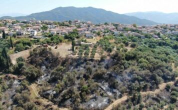 Σταμνά: Επί πέντε χρόνια ζητούσαν αντιπυρικές ζώνες, αλλά φωνή βοώντος…