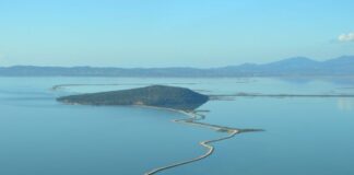 Το έργο Natures στηρίζει εμβληματικά είδη και πολύτιμους οικοτόπους σε Αμβρακικό, Στροφυλιά και Ζάκυνθο