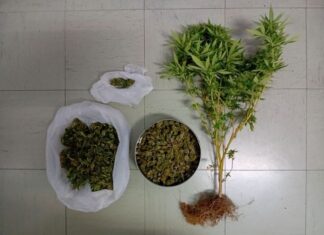 Συνελήφθη άνδρας στο Μεσολόγγι για καλλιέργεια και κατοχή ναρκωτικών