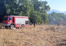 Ξηρόμερο: Σύλληψη για πρόκληση πυρκαγιάς από το Ανακριτικό της Πυροσβεστικής