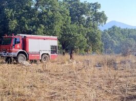 Ξηρόμερο: Σύλληψη για πρόκληση πυρκαγιάς από το Ανακριτικό της Πυροσβεστικής