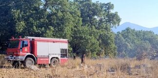 Περισσότερη πυροπροστασία στις Οινιάδες, μας «λένε» οι εμπρηστές