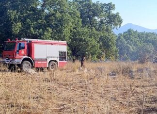 Περισσότερη πυροπροστασία στις Οινιάδες, μας «λένε» οι εμπρηστές