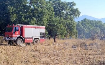 Ξηρόμερο: Σύλληψη για πρόκληση πυρκαγιάς από το Ανακριτικό της Πυροσβεστικής