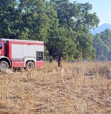 Ξηρόμερο: Σύλληψη για πρόκληση πυρκαγιάς από το Ανακριτικό της Πυροσβεστικής