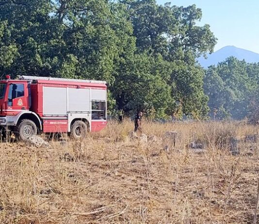 Ξηρόμερο: Σύλληψη για πρόκληση πυρκαγιάς από το Ανακριτικό της Πυροσβεστικής