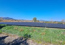 Ούτε στο φωτοβολταϊκό της ΔΕΥΑ Αγρινίου έχουν δώσει όρους σύνδεσης