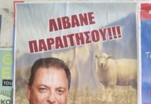 Λιβανός για ΟΠΕΚΕΠΕ: Με «επικήρυξαν», με λοιδόρησαν, απείλησαν και την οικογένειά μου