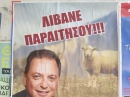 Λιβανός για ΟΠΕΚΕΠΕ: Με «επικήρυξαν», με λοιδόρησαν, απείλησαν και την οικογένειά μου