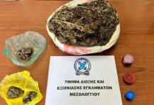 Αγρίνιο: Ο σκύλος της ΕΛ.ΑΣ. ξετρύπωσε τα ναρκωτικά στο στάβλο