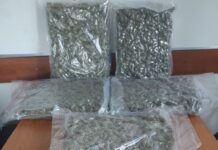 Συνελήφθη στην εθνική οδό Αγρινίου – Καρπενησίου να μεταφέρει πάνω από 5 κιλά χασίς