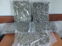 Συνελήφθη στην εθνική οδό Αγρινίου – Καρπενησίου να μεταφέρει πάνω από 5 κιλά χασίς