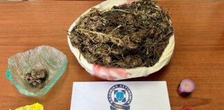 Αγρίνιο: Ο σκύλος της ΕΛ.ΑΣ. ξετρύπωσε τα ναρκωτικά στο στάβλο