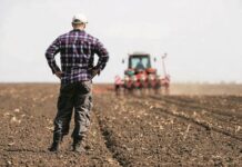 Η αδυναμία επιβίωσης των αγροτών. Το πιο ανησυχητικό σύμπτωμα της ελληνικής κρίσης