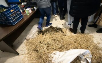 Κοπριά και σανό από τους αγρότες στα γραφεία Καραγκούνη και Παπαθανάση