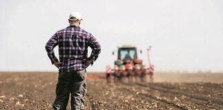 Δυτική Ελλάδα: 9.000 τα «βρόντηξαν» από την παραγωγή μέσα σε μια τριετία