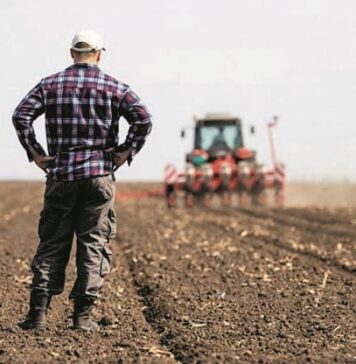 Η αδυναμία επιβίωσης των αγροτών. Το πιο ανησυχητικό σύμπτωμα της ελληνικής κρίσης