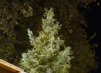 Άναψε το Χριστουγεννιάτικο δέντρο στη Ναύπακτο