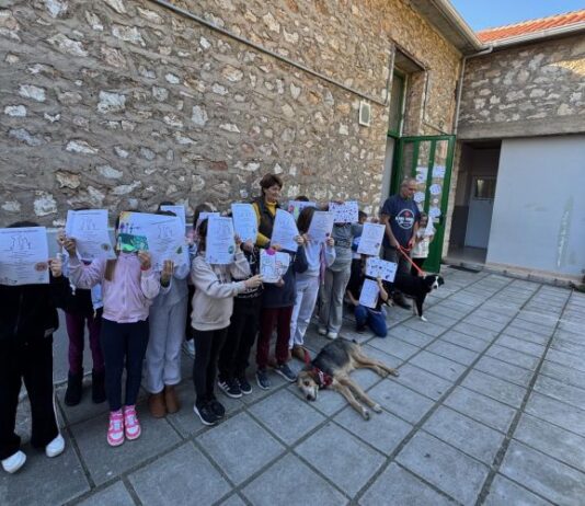 Δράση ευαισθητοποίησης των μαθητών για τα αδέσποτα από το Δήμο Ναυπακτίας