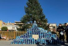 Κάθε χρόνο και ψηλότερο το «Γαλόδεντρο» στο Μεσολόγγι