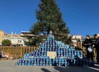 Κάθε χρόνο και ψηλότερο το «Γαλόδεντρο» στο Μεσολόγγι