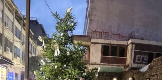 Με επιτυχία η 3η Παιδική Χριστουγεννιάτικη Γιορτή του Ιατρικού Συλλόγου Αγρινίου