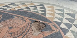 Η ομορφούλα του κάμπου με έμβλημα τη… λακκούβα