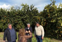 Στις ζημιές στον κάμπο του Ευηνοχωρίου με τον Προϊστάμενο του ΕΛΓΑ ο Κ. Καραγκούνης