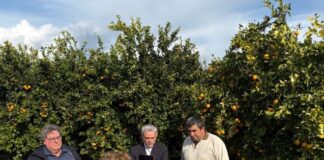 Στις ζημιές στον κάμπο του Ευηνοχωρίου με τον Προϊστάμενο του ΕΛΓΑ ο Κ. Καραγκούνης