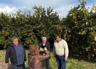 Στις ζημιές στον κάμπο του Ευηνοχωρίου με τον Προϊστάμενο του ΕΛΓΑ ο Κ. Καραγκούνης