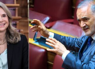 Ο Σαλμάς διαψεύδει Μυλωνάκη και η Αποστολάκη τον καλεί στην Εξεταστική