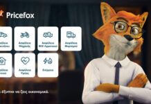 Εξοπλισμός αυτοκινήτου για τον χειμώνα: Τι να έχω πάντα μαζί;