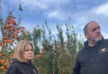 Αυτοψία της Χριστίνας Σταρακά στις κατεστραμμένες καλλιέργειες σε Ευηνοχώρι και Γαλατά