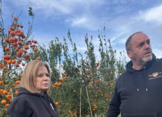 Αυτοψία της Χριστίνας Σταρακά στις κατεστραμμένες καλλιέργειες σε Ευηνοχώρι και Γαλατά