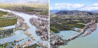 Η ΔΕΗ τους «έπνιξε»: Ζητούν αποζημιώσεις οι αγρότες στην Κατοχή