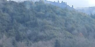 H ΤΕΡΝΑ «δωρίζει», αλλά ο κόσμος κράζει….