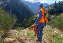 Στην πρώτη γραμμή κατά των δηλητηριασμένων δολωμάτων οι τετράποδοι φύλακες της άγριας ζωής του OΦΥΠΕΚΑ
