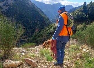 Στην πρώτη γραμμή κατά των δηλητηριασμένων δολωμάτων οι τετράποδοι φύλακες της άγριας ζωής του OΦΥΠΕΚΑ