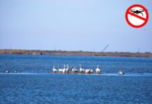 Αυξημένη χρήση drones στο Εθνικό Πάρκο της Λιμνοθάλασσας – Έκκληση του ΟΦΥΠΕΚΑ για τήρηση της νομοθεσίας