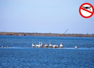 Αυξημένη χρήση drones στο Εθνικό Πάρκο της Λιμνοθάλασσας – Έκκληση του ΟΦΥΠΕΚΑ για τήρηση της νομοθεσίας