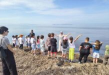 ΚΕΠΕΑ Μεσολογγίου: Εκπαιδευτικό υλικό για την Παγκόσμια Ημέρα Υγροτόπων