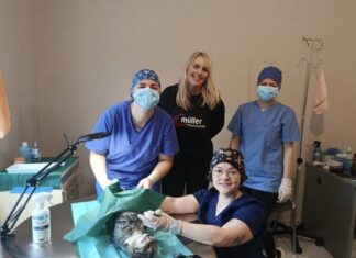 Δήμος Ναυπακτίας: Έως τις 27 Φεβρουαρίου η δράση δωρεάν στειρώσεων αδέσποτων γατών