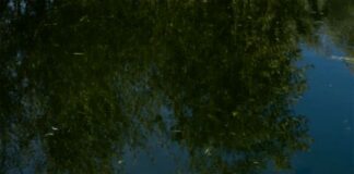 905 φωτογράφοι από όλο τον κόσμο συμμετείχαν στην πρόσκλησης «Home-s» του Photopolis Festival