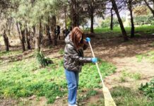 Για όσους δεν κάθονται φρόνιμα, η Γωγώ διαθέτει και σκουπόξυλο…